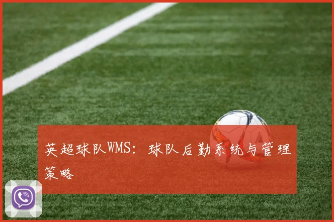 英超球队WMS:球队后勤系统与管理策略