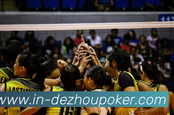 德州扑克平台生态图